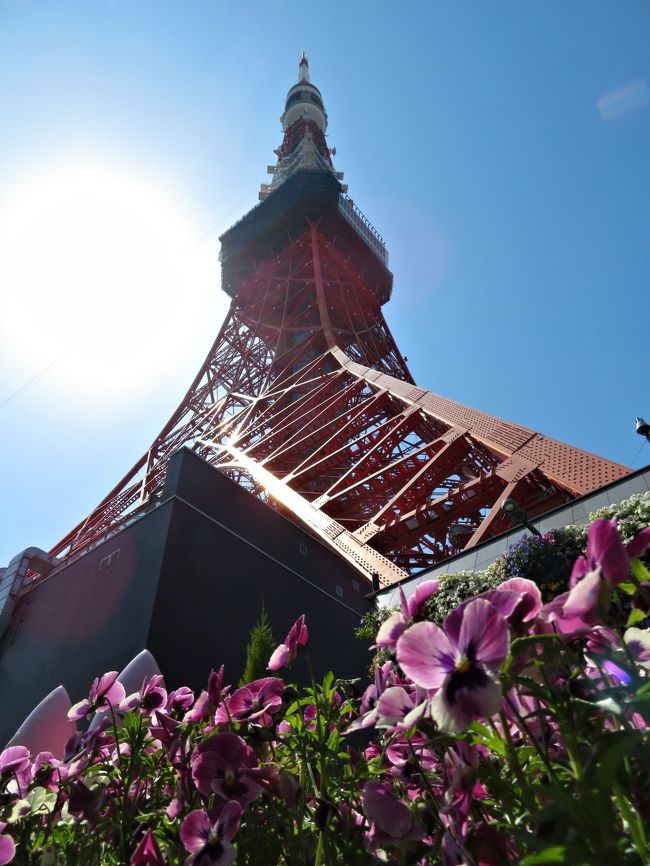 TOKYO TOWER 60th ANNIVERSARY<br />。:+* ゚ ゜゚ *+:。:+* ゚ ゜゚ *+:。:+* ゚ ゜゚ *+:。<br />60周年記念!東京タワー<br /><第1弾>でぇ~すww<br /> ЧЁ――d(,,・∀・,,)b――i!♪<br /><br />いつ見ても東京タワー素敵ですねぇ~☆<br />今では高層ビルやタワーマンションがそびえ立ち、希少立地で資産価値が落ちにくい都心の駅近に住むパワーカップル、パワー世帯が増える一方で、郊外に家を建てたお年寄りたちは通勤電車を卒業して、都心から離れてひっそりと暮らしています。<br />年収が多いと「終の棲家(ついのすみか)」という意識はなく、利便性を追求し、いい物件があれば又買いたい、不動産を購入・売却するという人達が増えてきました。<br /><br />東京タワーが誕生して60年目!<br />高度経済成長下の1958(昭和33)年から東京の電波塔として50年以上にわたりテレビやラジオの電波を送り続けたきた東京タワー。<br />時代と共に環境が変化していき、その役割を東京スカイツリーにバトンタッチ!<br />今では予備電波塔して利用されていますが「日本のシンボル」である事には変わりありません。<br />という事で、現在の東京タワーをあらゆる角度から眺めてみよう★━━<br /> ☆*。★゚*♪ヾ(*-∀-)ノルンタッタ~♪<br /><br />60周年記念の東京タワーにからんだ旅行記は<br /><第1弾>~<第3弾>までUPしまーす♪