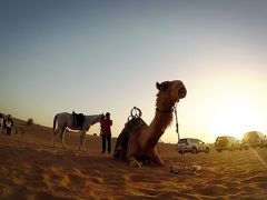 弾丸トラベル女子旅2日目　街歩き～デザートサファリ