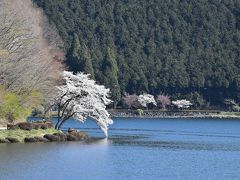 田貫湖畔に佇む休暇村富士 ～桜と富士山の絶景 2018～（静岡）