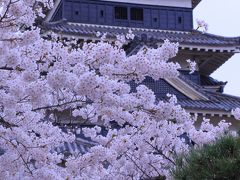 長野　桜めぐり～松本城、上田城跡