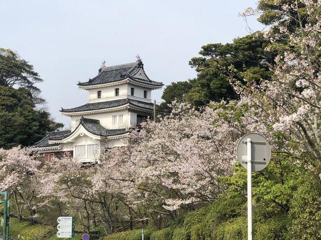 【表紙の写真】桜と平戸城乾櫓<br /><br />平年より早く桜が開花した2018年<br />３月末にはすでに満開になったなか、<br />４月の最初の日曜日１日に、福岡から平戸までの日帰りドライブ<br /><br />本当は、毎年恒例の、<br />水揚げ高日本一のヒラメ祭りに来たかったけど、<br />残念ながら、前日で終了となっていたのですが、<br />今回は、お城と桜がテーマでやってきました<br /><br />こののち、福岡に帰り、夜の福岡城のさくらまつり　へ<br />https://4travel.jp/travelogue/11350453<br /><br />【本旅行記のコンテンツ】<br />・平戸瀬戸市場<br />　http://www.setoichiba.com/<br /><br />・平戸城　（平戸市振興公社）<br />　http://www.hira-shin.jp/hirado-castle/<br />　肥前・平戸松浦藩　６万石の居城<br />　1国１城令後の珍しい築城の一つ<br />　<br />・平戸蔦屋　（平戸名物のお菓子　カスドースのお店）<br />　http://www.hirado-tsutaya.jp/<br /><br /><br />☆最近の100名城シリーズ<br />【日本100名城No.58】明石城<br />　　https://4travel.jp/travelogue/11281924<br />【日本100名城No.54】大阪城<br />　　https://4travel.jp/travelogue/11281930<br />【日本100名城No.55】千早城：落ちなかったのも納得の山城<br />　　https://4travel.jp/travelogue/11281934<br />【日本100名城No.87】肥前名護屋城　太閤秀吉が夢見た幻の巨大都市<br />　　https://4travel.jp/travelogue/11149922<br />【日本100名城 No.42】「掛川城」　内助の功の賜物！？<br />　　https://4travel.jp/travelogue/11150093<br />【日本100名城No.12】会津若松城<br />　　https://4travel.jp/travelogue/10838389<br />