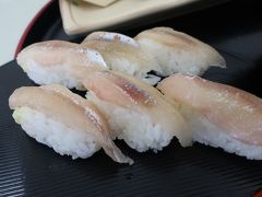 【マイレージ消化の旅】むかわ町名物「ししゃも寿司」を堪能するために北海道へ　その２