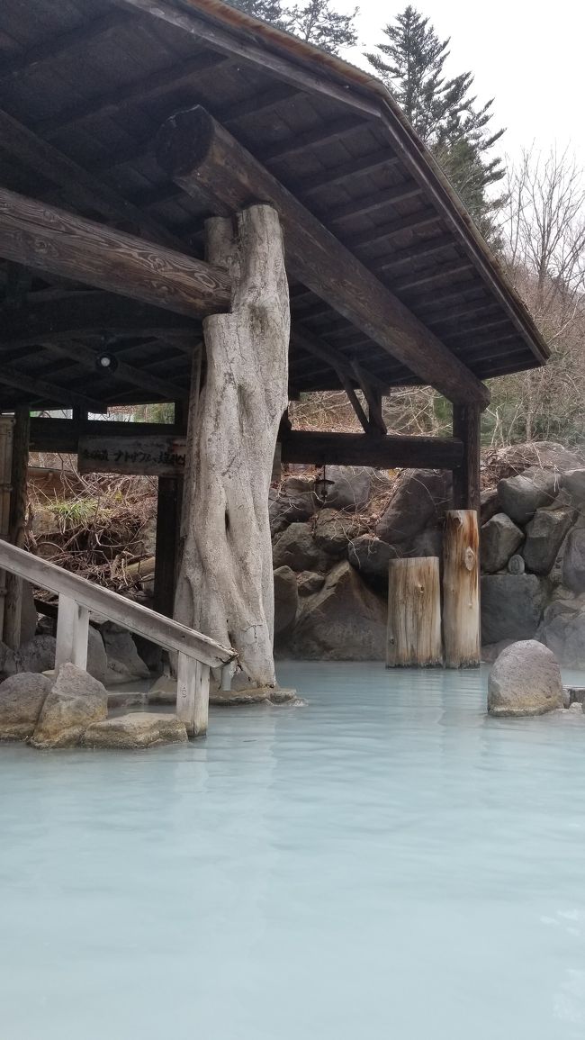 大学時代の友人と奥鬼怒温泉郷の加仁湯温泉に日帰りで行ってきました。<br /><br />加仁湯温泉へは車で直接行くことはできません。女夫渕駐車場に車を停め、宿泊の場合はそこから送迎バスがありますが、立ち寄り湯の場合、徒歩で行くことになります。私たちは宿泊でなかったため、1時間半歩いて行きましたが、ところどころにまだ雪の残る中、爽やかな空気を浴びながら最高のハイキングを楽しむことができました。<br /><br />加仁湯温泉のお湯は、白濁湯あり、透明なお湯ありで、正にお湯のデパートでした。混浴露天風呂は、私たち以外誰もいませんでしたから、その意味では混浴ではありませんでしたが、お湯の温度もちょうど良く、ゆっくりと浸かることができました。お湯といい、露天風呂からの景色といい、若女将のおもてなしといい、全て期待以上の素晴らしい温泉でした。次は是非泊まりで行きたいと思います。