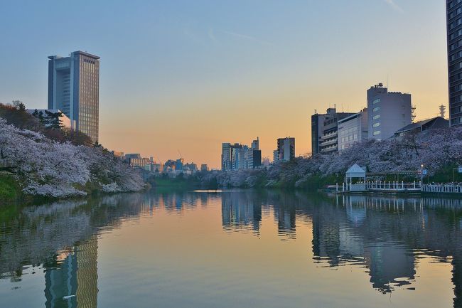３/２６（月）乾門を出て、千鳥ヶ淵方面を散策<br />皇居の桜よりも一段と満開で素晴らしい景色が連なっていました<br />途中でカメラが写せなくなり、慌てて内部の写真の一部を削除しました<br />竹橋の「KKR東京」に、荷物を預けられて本当に助かりました<br />飯田橋の『カナルカフェ』で花見ディナーをする予定でしたので<br />満開の千鳥ヶ淵を後ろ髪惹かれる思いで、飯田橋へ急ぎました<br /><br />東京水上倶楽部は、初めて行く場所で、お花見が出来ると聞いて<br />何気に予約した場所でした<br />最初、レストランのデッキサイドでお花見をしながら食事を楽しもうと<br />思っていたら、デッキの一番眺めの良い席は２人席が中心で<br />私達の席は、一番後方の中途半端な最悪の席で…絶句<br />三脚まで持参して、お花見風景を撮りに来たので、一番前列の角の<br />外れの席に強引にチェンジして貰いました<br />案の定、私達の席には、誰も近づくお客様がおらず、スペースも広くて<br />三脚を立ながら、ディナーに撮影に充実した楽しい時を過ごしました<br />とても暖かい１日でしたので、都内の桜散策フィナーレに相応しい宵でした<br /><br />▲　Spring can really hang you up the most. <br />　　ジューン・クリスティー　2018 春の東京夜景<br />　<br />　　https://youtu.be/ghtD75lqx2g<br /><br /><br /><br />