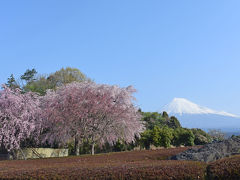 富士市内公園紹介 =8.富士市総合運動公園(2018.04.01)=