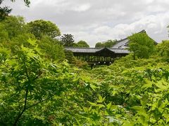 桜も紅葉もいいけど、新緑の京都もなかなかです！