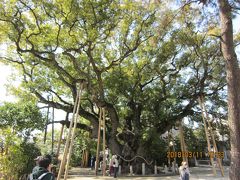 太田川から大府までのハイキング（大宮神社、ふき街道、げんきの郷、あいち健康の森）