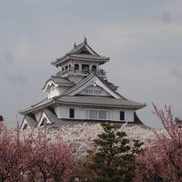 ☆2018年桜旅　第１弾！１８きっぷで琵琶湖☆　長浜城　伊東園　彦根ビューホテル No2