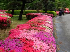 ２０１８　皇居東御苑　二の丸庭園　つつじ満開　下