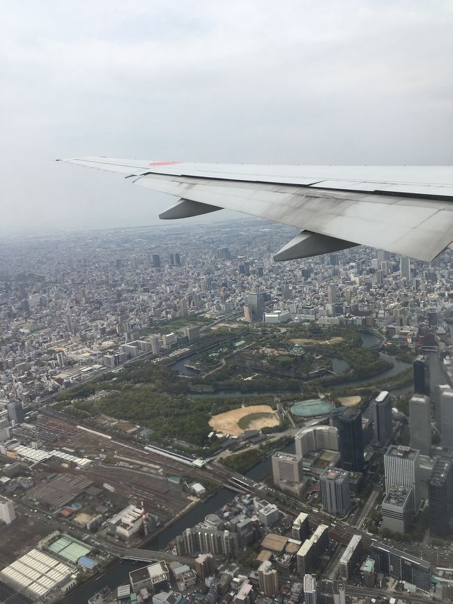 用事があり、ついでの京都に日帰り旅行。<br />羽田空港を１０時に出て１１時ごろに伊丹空港到着予定が、滑走路が封鎖されて２０分くらい上空でウロウロ。<br />やっと到着したらなんか空港は工事中でモノレール乗り場が遠い遠い。梅田到着する頃にはヘトヘト。