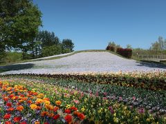 香川県にもチューリップ畑があるんだよ　　国営讃岐まんのう公園