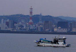 2018.3薩摩大隅半島旅行10-桜島を一周2 赤水展望広場，桜島ビジターセンター，溶岩なぎさ公園，レインボー桜島で昼食，道の駅桜島