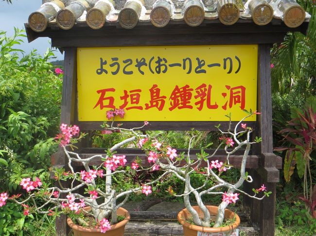 西表島仲間川クルーズと由布島の牛車！のんびりした風景と、石垣島の岬の絶景を求めて、ドライブの旅！