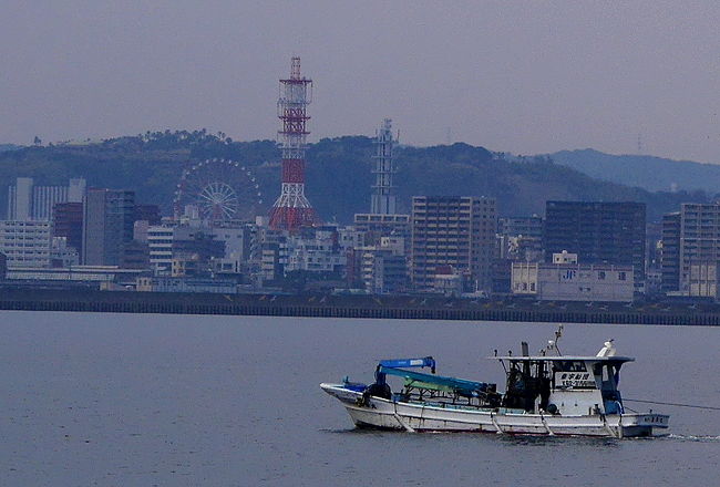 1134　湯之平展望台から北側の桜洲小学校交差点に降りて，フェリー乗り場を経て，赤水展望広場へ　ここからの鹿児島市内，火山灰のせいかかすんでいる．桜島が北岳と南岳の連峰であることがよくわかる．<br />鳥島展望台を垣間見た後，ビジターセンターへ．ここでも桜島の知識を仕入れる．なかなか細かい解説をわかりやすくかいてある．湯之平展望所の解説の方が地学的には専門的な気がするが，ここでは歴史と自然に重点が置かれていた．なぎさ公園で鹿児島市を眺めた後，国民宿舎レインボー桜島で昼食．私は西郷どん定食1800円　黒豚なんこつだったがなんと鍋がぬるかった！！そのためおいしくなかった！残念！同僚のマグマカレーは一口もらったが割とおいしかった．<br />道の駅桜島でお土産を買った後，1334　フェリーターミナルを経て県道28号線に　これから桜島の北半分に向かう