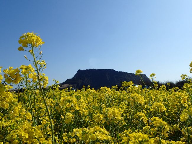 デルタ特典で1泊2日弾丸チェジュ島です　路線バスで城山日出峰の夕日と日の出と菜の花、滝と黒豚、アワビ粥♪<br /><br />1泊2日チェジュ島1日目☆コリアンエア・路線バスで行く城山日出峰サンセット・黒豚屋　https://4travel.jp/travelogue/11338482