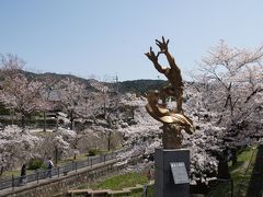 岡崎から琵琶湖疎水の桜見物