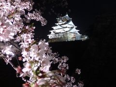 2018年　大阪城 西の丸庭園 観桜ナイター