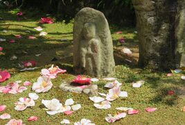 2018春、関西の花のお寺(1/16)：百毫寺(1)：バスで奈良へ、ツバメ、地蔵尊、五色椿