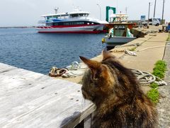 福岡の猫パラダイス島である『相島』に３度目の訪問【猫を探しに相島散策後編】