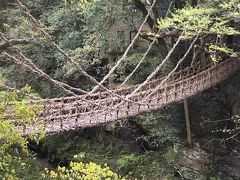 徳島で祖谷のかずら橋と小便小僧