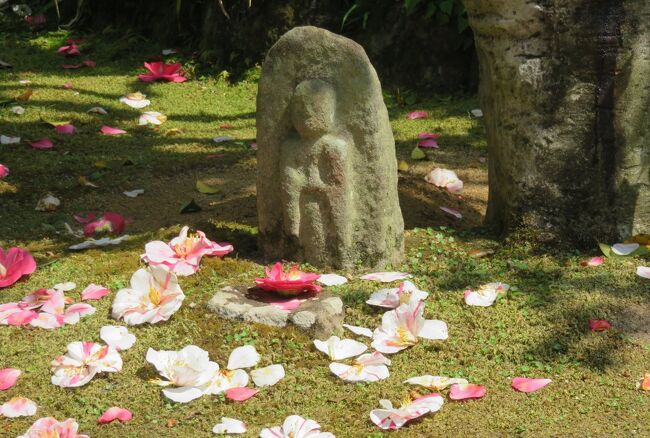 関西の花のお寺巡りです。