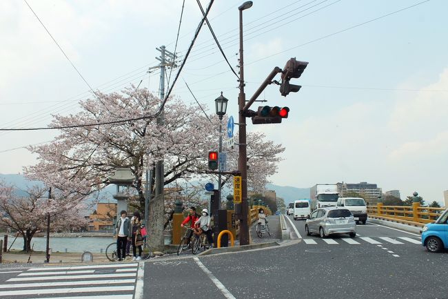 ｋオジサンの中山道･東海道旅日記　　その6　　守山駅から京都へ　遂に三条大橋に到達しました