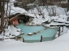 白骨温泉で新年会