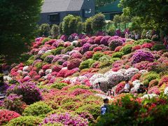 谷根千の旅行記