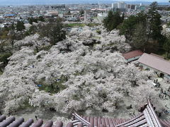 [2018年4月]  桜紀行 福島県会津若松市 石部桜・鶴ヶ城