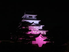 [2018年4月]  桜紀行 福島県会津若松市 鶴ヶ城 夜桜編