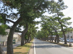 浜松の東海道舞坂宿を歩く