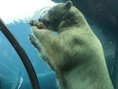 突然飛行機欠航！だけど行けちゃったもんね北海道・後篇