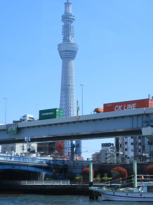 隅田川ライン<br />浅草吾妻橋から浜離宮庭園を経由し日の出桟橋までを結ぶコース。<br />途中、隅田川に架かる様々な色・形の橋をくぐる片道約40分の13橋クルーズ。桜の時期は隅田公園に咲く桜を楽しむことができるお花見船として運航しています。<br />http://www.gotokyo.org/shuun/jp/course/054.html より引用<br /><br />水上バスとは、河川及び港湾地域を運航する定期航路およびその航路を運航する船舶を指す。複数地点間を往復するものが多いが、定期に一地点から出発して巡航する観光航路を指すこともある。<br />東京においては、1885年に隅田川で運行を始めた乗合蒸気船が水上バスの起源ともいえる。<br />(フリー百科事典『ウィキペディア(Wikipedia)』より引用)<br /><br />東京クルーズ については・・<br />http://www.suijobus.co.jp/<br />