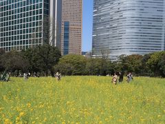 浜離宮恩賜庭園1/3　お花畑・潮入の池付近（ビル街の安らぎ空間）☆御茶屋建築の復元も