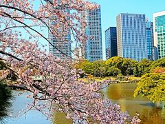 浜離宮恩賜庭園2/3　サクラ・モモ・・花盛りの春　☆暖かい日差しを受け