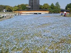 浜名湖花フェスタ開催勝手に記念企画第１弾＆静岡プレデステネーションキャンペーン勝手に記念企画第４弾　浜名湖ガーデンパークを歩く2018・04