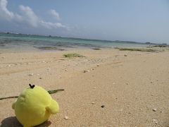 鹿児島県沖永良部島 を たびするトリ