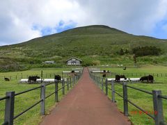 八丈島をドライブ（八丈富士側）