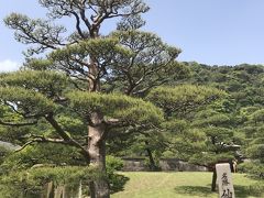 忘れの里雅叙苑宿泊4/14-/15②天降川を眺めながら朝食をして仙巌園観光をして帰京