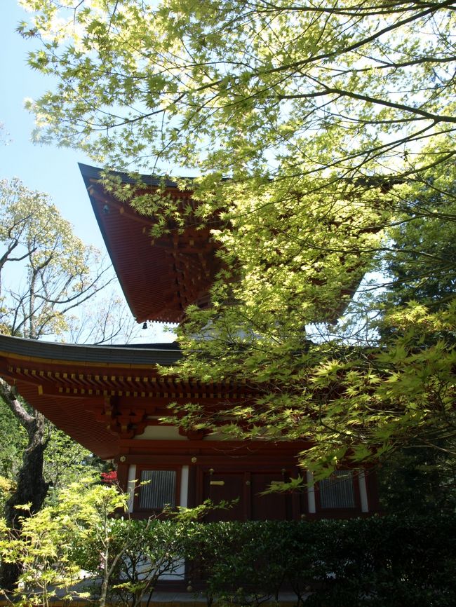 JR東海の今年の奈良編の寺、それが行くきっかけにもなりました。にんにくせんという不思議な名前の漢字は忍辱山と書きます。