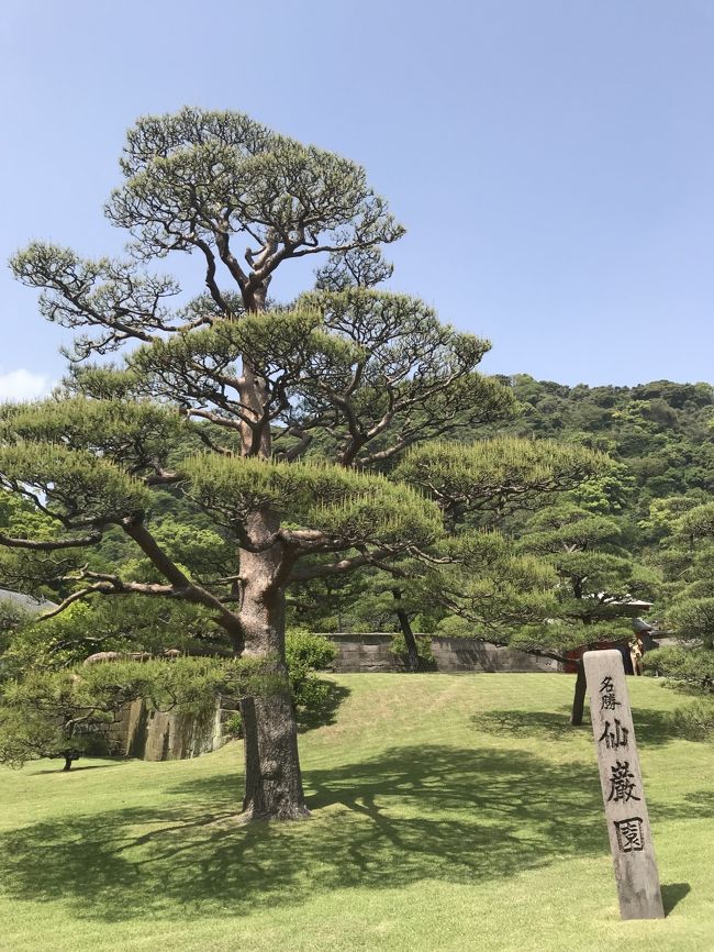 8:30 ラムネの湯に入ってから朝食<br />　　　　　　　↓<br />11:00 忘れの里雅叙苑をチェックアウト <br />　　　　　　　↓<br />12:00 昼食 頂いたおにぎりと卵焼き<br />　　　　　　　↓<br />13:00 仙巌園観光<br />　　　　　　　↓<br />17:00 夕食 鹿児島空港2階大空食堂<br />　　　　　　　↓<br />JAL652便18:35鹿児島空港発→20:10羽田空港着