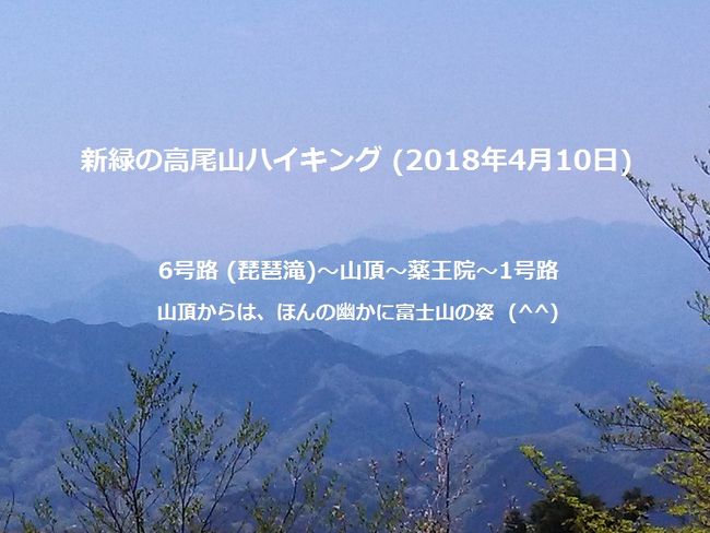 今年は2年ぶりに、アルプスでのトレッキングを・・・と計画しつつ、どうも長期に渡って日本を離れる事が難しそうな雰囲気 (ToT)<br />でも、何でも良いから「山に行きたい」と思い、突然『高尾山』に行く事にした♪<br />ほぼ半年ぶり・・・今は新緑が眩しい時期。ゴマ団子とお蕎麦・・・高尾饅頭も食べたい、と何が目的か分らなくなりそうだが (爆)<br /><br />我が家は京王線沿線、高尾山口までは最速で30分。2018年4月10日決行。お供はうちの奥さん (*^^*)<br />9時少し前に家を出て、府中で特急に乗換。平日だが、高尾山目的と思われる大学生(?)グループなど若者も多い♪<br /><br />●9:40、高尾山口駅前から歩き始める。<br />前回は稲荷山コースで登ったので、今回は前の沢沿いに登る、6号路をベースにする。<br />歩き始めると間もなく、高尾山七福神(洗心地蔵尊)がある、登山路沿いには可憐なすみれの花も見える♪<br />途中の分岐点から一旦6号路を外れ、&quot;東京高尾山病院&quot;方面のびわ滝道にルートを取る。<br />木漏れ日の中を琵琶滝方面に20分ほど歩くと、&quot;二本松の前&quot;広場に着く。ここには四国八十八札所の、9～16番の祠が置かれている。<br /><br />ここを琵琶滝まで下り、6号路に戻る。大山橋で少し休息。<br />途中のとび石の手前から、稲荷山ルートに抜ける分岐点があり、前回はそちらを登ったので、今回は忠実に6号路を登る。<br /><br />●山頂を目指して最後の難関?、約280段の階段を登ると、高尾山頂=599mである。結構混んでいる。<br />富士山は、春霞の中、雲の上にかすかに見える。何より若草色の木々がきれいだ。山頂には桜もまだ少し残っている♪<br /><br />連れは甘酒、僕はラムネを飲んで、早くも下りにかかる。<br />帰路は高尾山薬王院を経由の1号路を下る・・・20分ほどで薬王院、お参りする。<br /><br />所で、薬王院本堂の右手に大師堂があり、弘法大師が祀られている。<br />面白いのは、大師堂の周りを小さな弘法大師像が取り囲んでいる。全部で八十八ある。四国八十八か所の札所と同じ後利益の『八十八大師』である♪<br />四国に行く時間のない方や、手っ取り早く済ませたい方は、ここで八十八札所巡りをすれば良いのだ。15分で終る (^^)<br /><br />●茶店『権現茶屋』で、いつもの様にゴマ団子を頂く。高尾山登山の楽しみのひとつ (^^)<br />金ゴマと黒ゴマ、一本ずつ。奥さんとシェアする♪一本350円だが大きくて美味しい。疲れが吹っ飛ぶ。<br />蛸杉、猿園を右手に、ケーブルカー駅とリフト乗場の前を抜けて、1号路を下りにかかる。<br />荷物運搬や、居住者のための自動車も通れる様に舗装されているが、急坂・・・それでもゆっくり歩いて40分、ケーブル駅の脇に到着。<br /><br />●今日は火曜日、何故かお蕎麦屋さんはお休みのお店が多い。<br />以前も食べた、橋詰亭が開いていたので入る。もう2時過ぎなのに、ほぼ満席。入替りで席確保 (^^)V<br />僕は、山菜トロロ蕎麦、連れは『天ざる』。いつも通り美味しい♪<br /><br />デザート代わりに酒饅頭を『千代乃屋』で食べて、帰路に付く。<br />思い付いた時に、高尾山に行ける幸せ (^^)