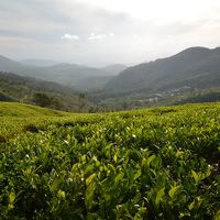 コロンボにも行きたかった！スリランカ旅行　その3