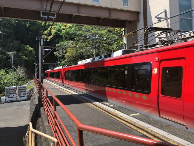 恒例の企業メンバーによる合宿。高天気に恵まれ、会議とは殺風景となったが、議論も弾み、久しぶりに温泉に浸かり、おいしいものを食べ、夜遅くまでの議論は、大変楽しかった。生憎晴天ではあったが、海はガスっていたので、伊豆七島を見ることはできなかった。ホテルは、30周年を迎えた東急ホテルでした。