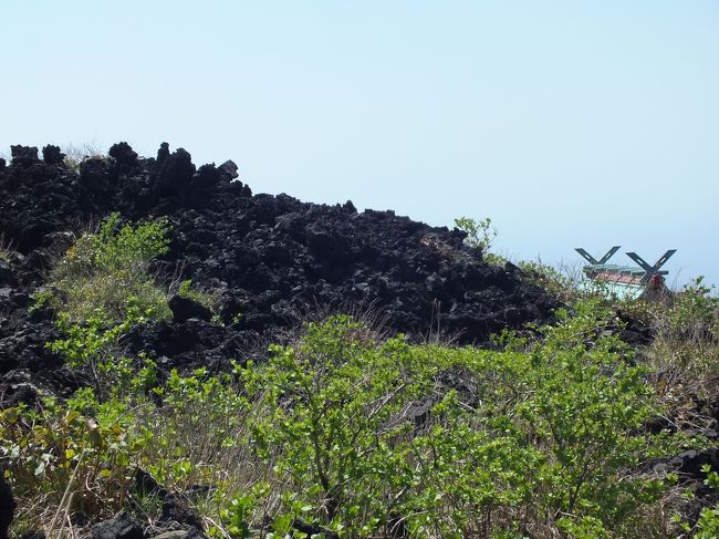 離島の旅となると何故か構えてしまい中々決心がつかない。今回思い切り熱海からジェット船で行って来ました。三原山山頂バス停迄路線バスで行き、一泊用の手荷物持ち１１時過ぎハイキング開始、頂上バス停からＫ山頂ハイキング(遊歩道）コースを選択アスファルト舗装道で平坦道が続き快調な出足、低木林を過ぎるころから登反もきつくなりますが休みながら楽しみながら溶岩林を見ながら噴火口一周路を目指します。高齢者夫婦の足で一時間強で頂上お鉢めぐり一周コースに到着、三原神社参道を下り参拝後展望台、火口見学場ヘ向かいました。火口一周コース　２．５ｋｍ　３５分と書いてありましたが妻の足が限界に成り今夜宿泊予定の温泉ホテルコース（L温泉コース）を下山しました。バス停からお鉢めぐりコース三原神社参拝から下山迄３時間弱のウオーキングでしたが思ったよりハードな山歩きでした。