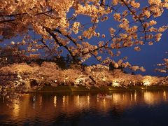 1回は見たかった 弘前城の桜 2018