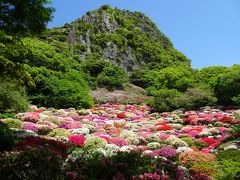 御船山楽園のつつじ～祐徳稲荷神社～呼子～糸島～角島大橋～太宰府天満宮へ