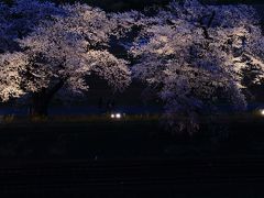 2018・04　福島・宮城の桜を見に行こう　2