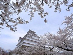 2018・04　福島・宮城の桜を見に行こう　3