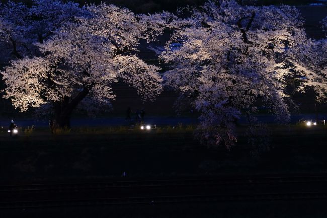 福島・宮城の桜旅　2<br /><br />4・5・6日目<br /><br />色々な桜を廻ってきました。<br /><br />何処もとても綺麗でした。<br />